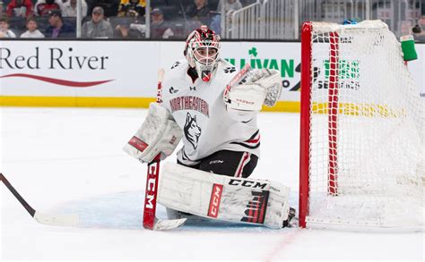 devon levi age|devon levi hockey record.